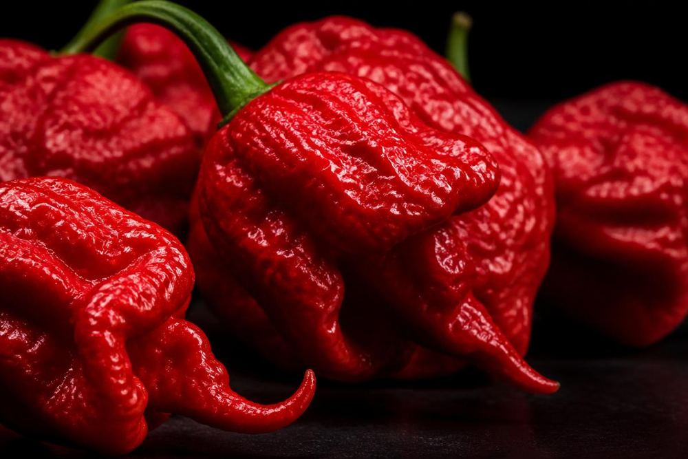 Meet the Carolina Reaper