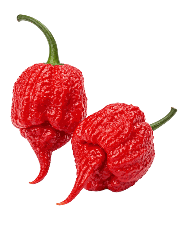 Carolina Reaper