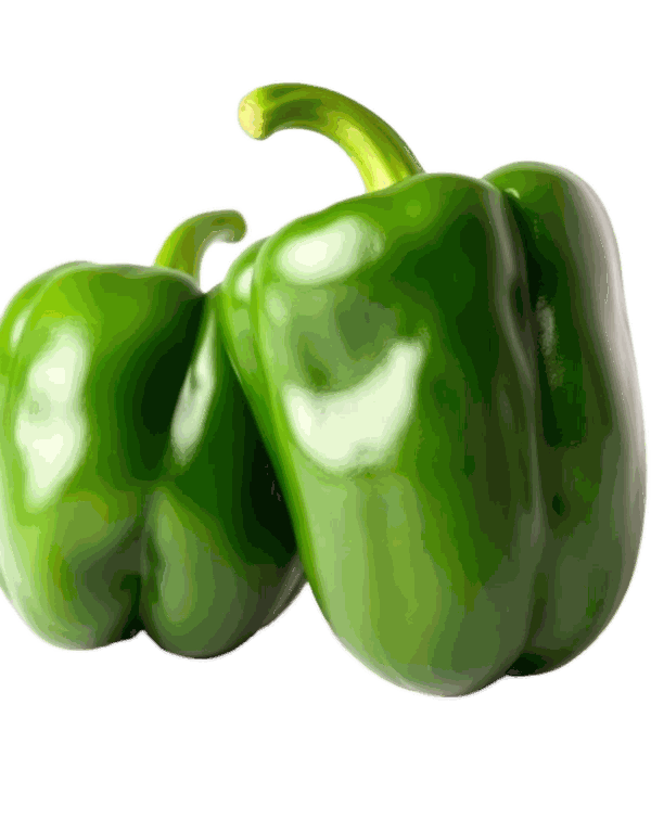 Green Bell Pepper