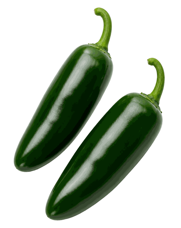 Jalapeño Pepper